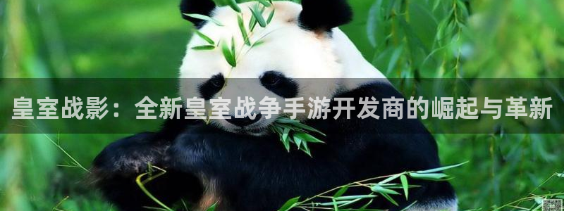 28大神开奖查询结果：皇室战影：全新皇室战争手游开发商的崛起