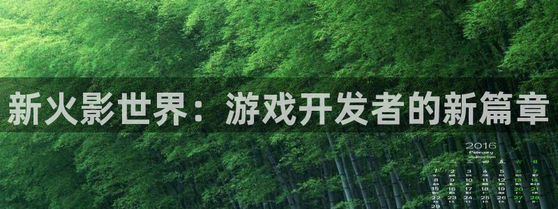 28大神6.0.0版：新火影世界：游戏开发者的新篇章