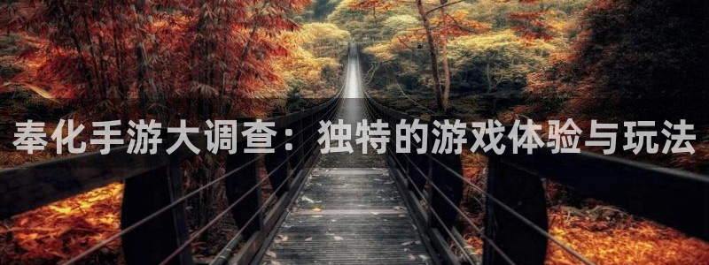 28大神在线开奖：奉化手游大调查：独特的游戏体验与玩法