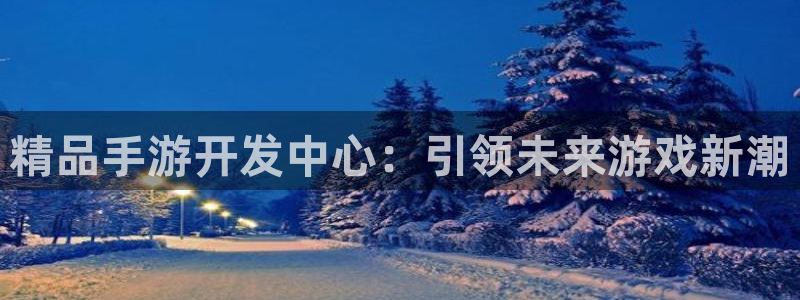 非凡游戏官网下载：精品手游开发中心：引领未来游戏新潮