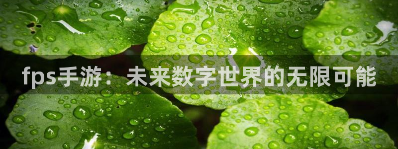 28大神眯牌：fps手游：未来数字世界的无限可能