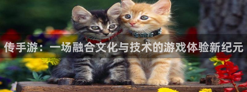 28大神在线：传手游：一场融合文化与技术的游戏体验新纪元