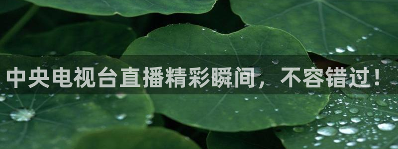 柠檬体育直播网是哪个：中央电视台直播精彩瞬间，不容错过！
