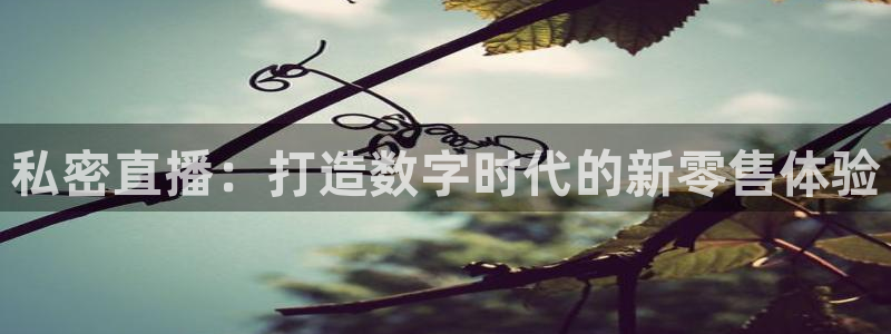 柠檬篮球直播：私密直播：打造数字时代的新零售体验