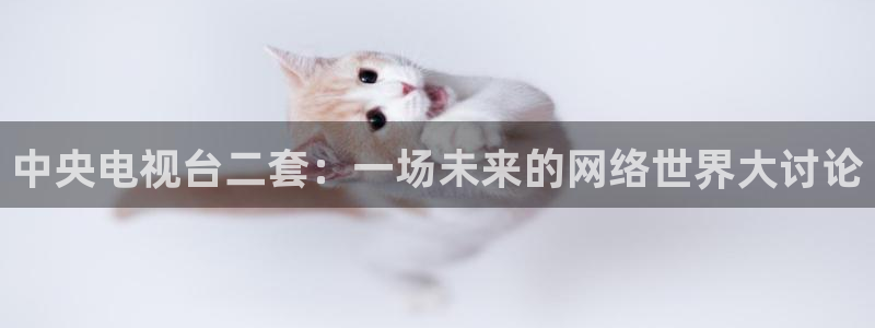 柠檬直播篮球：中央电视台二套：一场未来的网络世界大讨论
