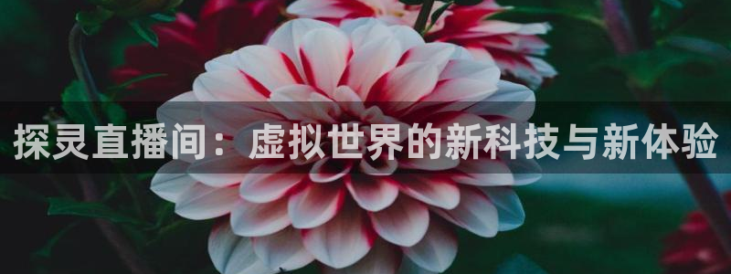 柠檬体育直播网址