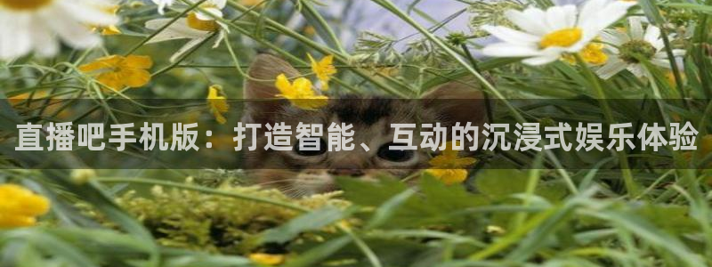 柠檬足球现场直播