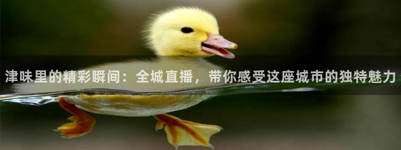 柠檬体育nba直播
