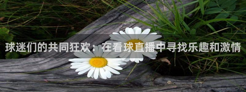 柠檬体育在线观看