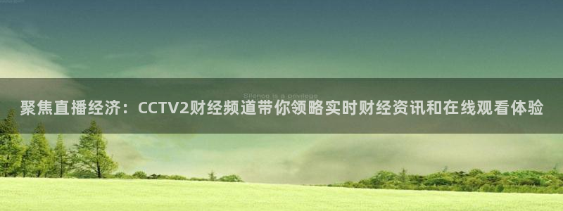 柠檬直播足球直播：聚焦直播经济：CCTV2财经频道带你领略实时财经资讯和在线观看体验