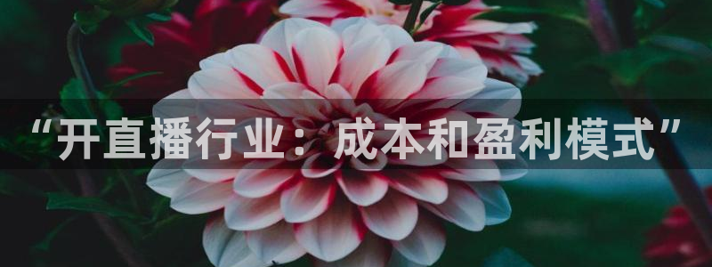 柠檬直播体育足球：“开直播行业：成本和盈利模式”