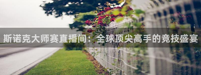 柠檬体育足球视频直播：斯诺克大师赛直播间：全球顶尖高手的竞技盛宴