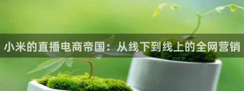 柠檬体育直播网址：小米的直播电商帝国：从线下到线上的全网营销
