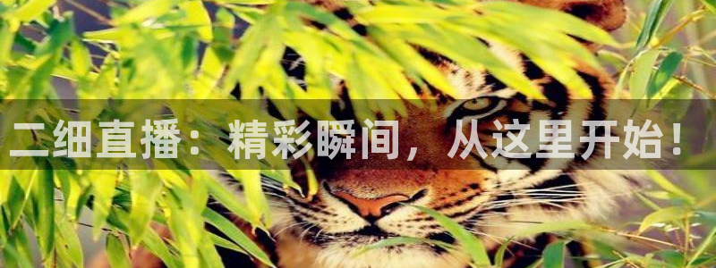 nba 柠檬直播：二细直播：精彩瞬间，从这里开始！